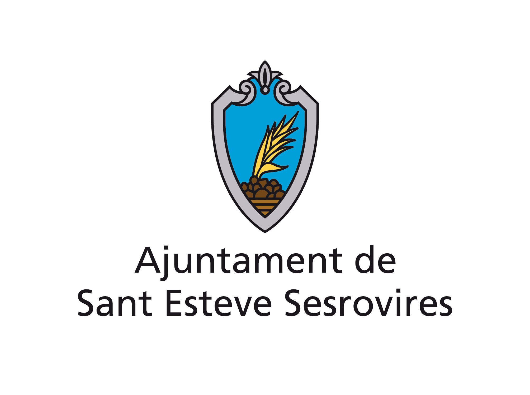 Ajuntament de Sant Esteve Sesrovires